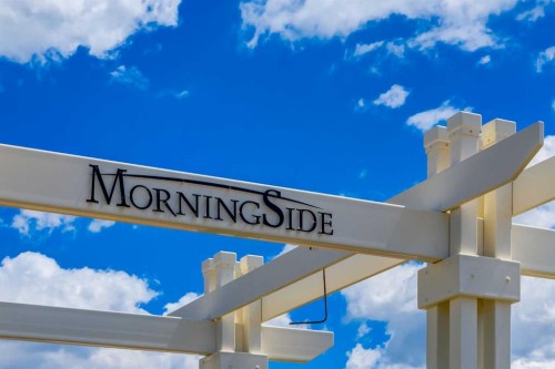 65 Morningside Circle Sw, Airdrie, AB 