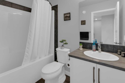317 Sundown Road South, Cochrane, AB - Indoor Photo Showing Bathroom