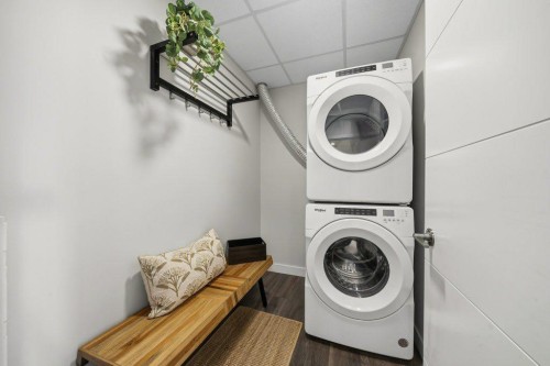 224-255 Les Jardins Park Se, Calgary, AB - Indoor Photo Showing Laundry Room