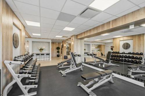 224-255 Les Jardins Park Se, Calgary, AB - Indoor Photo Showing Gym Room
