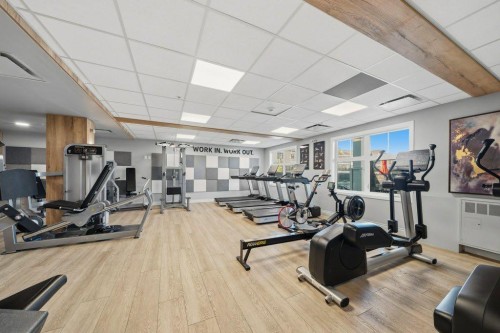 224-255 Les Jardins Park Se, Calgary, AB - Indoor Photo Showing Gym Room
