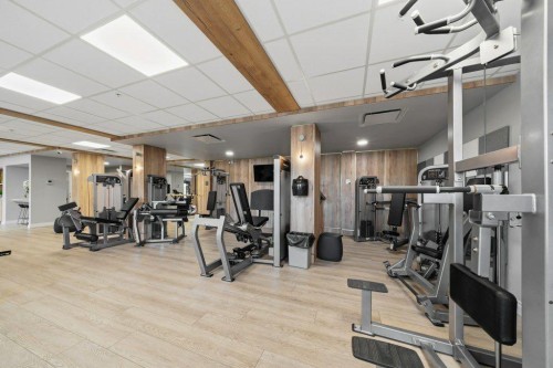 224-255 Les Jardins Park Se, Calgary, AB - Indoor Photo Showing Gym Room