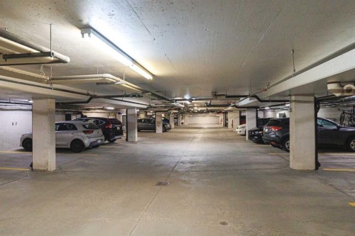 220-8 Prestwick Pond Terrace Se, Calgary, AB - Indoor Photo Showing Garage