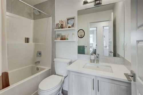 7369 Mercado Avenue Se, Calgary, AB - Indoor Photo Showing Bathroom