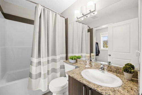 121-300 Marina Drive, Chestermere, AB - Indoor Photo Showing Bathroom