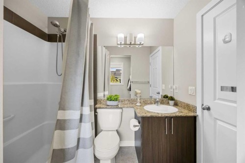121-300 Marina Drive, Chestermere, AB - Indoor Photo Showing Bathroom