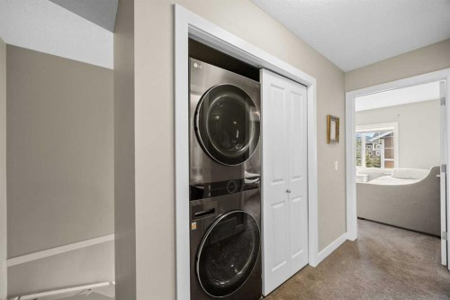 121-300 Marina Drive, Chestermere, AB - Indoor Photo Showing Laundry Room