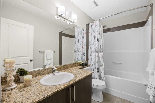 121-300 Marina Drive, Chestermere, AB - Indoor Photo Showing Bathroom