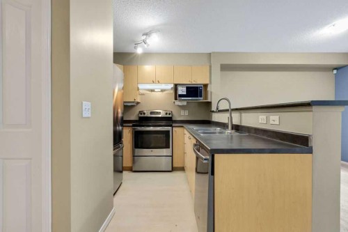 155 Citadel Meadow Gardens Nw, Calgary, AB - Indoor Photo Showing Kitchen With Double Sink