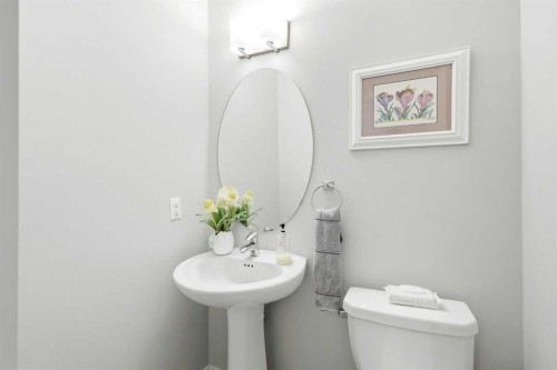 43-300 Marina Drive, Chestermere, AB - Indoor Photo Showing Bathroom