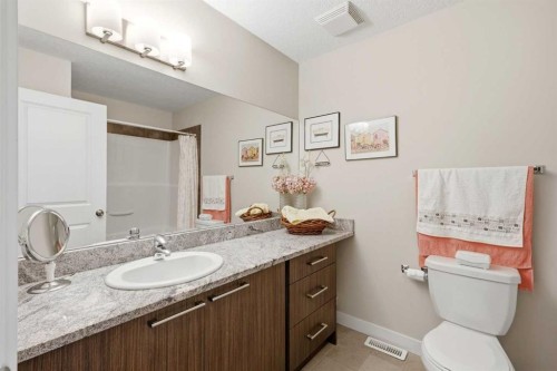43-300 Marina Drive, Chestermere, AB - Indoor Photo Showing Bathroom