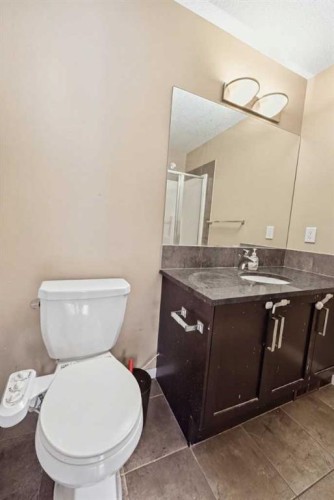 28 New Brighton Point Se, Calgary, AB - Indoor Photo Showing Bathroom