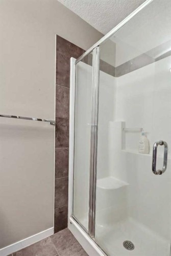 28 New Brighton Point Se, Calgary, AB - Indoor Photo Showing Bathroom