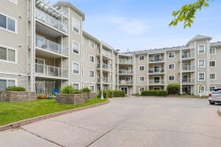 413-260 Shawville Way SE Calgary, AB T2Y 3Z6