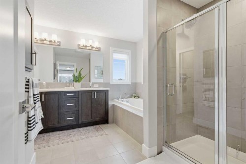 234 Mahogany Passage Se, Calgary, AB - Indoor Photo Showing Bathroom