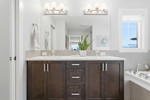 234 Mahogany Passage Se, Calgary, AB - Indoor Photo Showing Bathroom