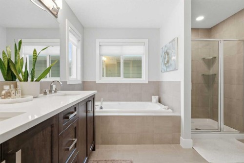 234 Mahogany Passage Se, Calgary, AB - Indoor Photo Showing Bathroom