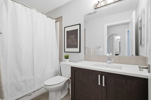 234 Mahogany Passage Se, Calgary, AB - Indoor Photo Showing Bathroom