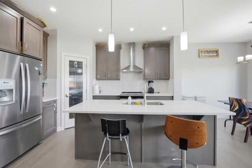 107 Savanna Way Ne, Calgary, AB - Indoor Photo Showing Kitchen With Upgraded Kitchen