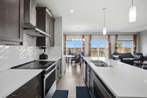107 Savanna Way Ne, Calgary, AB - Indoor Photo Showing Kitchen With Double Sink With Upgraded Kitchen
