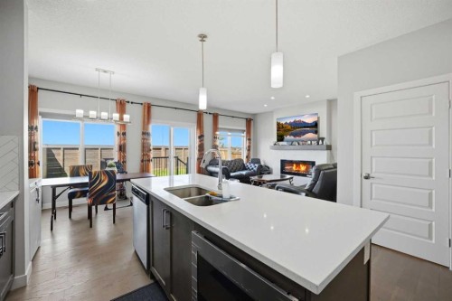 107 Savanna Way Ne, Calgary, AB - Indoor Photo Showing Kitchen With Double Sink With Upgraded Kitchen