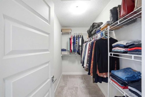 107 Savanna Way Ne, Calgary, AB - Indoor With Storage