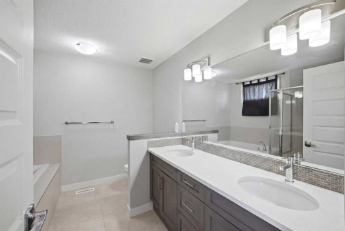 107 Savanna Way Ne, Calgary, AB - Indoor Photo Showing Bathroom
