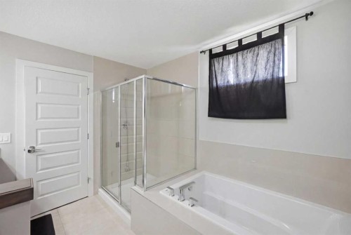 107 Savanna Way Ne, Calgary, AB - Indoor Photo Showing Bathroom
