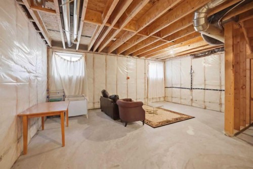107 Savanna Way Ne, Calgary, AB - Indoor Photo Showing Basement