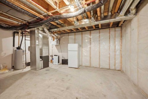 107 Savanna Way Ne, Calgary, AB - Indoor Photo Showing Basement