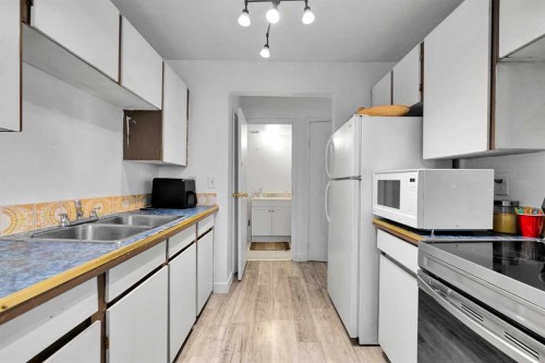 101-516 Blackthorn Road Ne, Calgary, AB - Indoor Photo Showing Kitchen With Double Sink