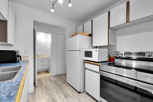 101-516 Blackthorn Road Ne, Calgary, AB - Indoor Photo Showing Kitchen With Double Sink