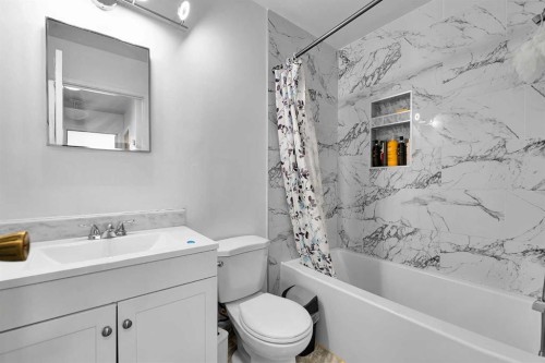 101-516 Blackthorn Road Ne, Calgary, AB - Indoor Photo Showing Bathroom
