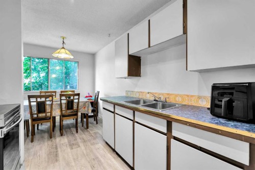 101-516 Blackthorn Road Ne, Calgary, AB - Indoor Photo Showing Kitchen With Double Sink