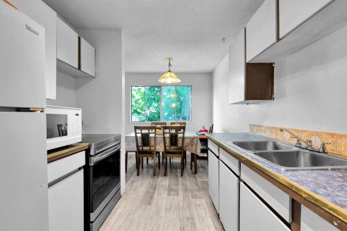 101-516 Blackthorn Road Ne, Calgary, AB - Indoor Photo Showing Kitchen With Double Sink