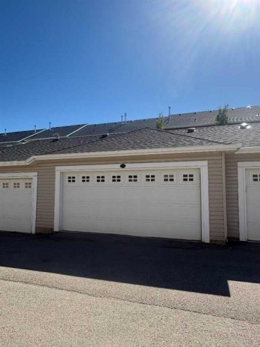 233 Rainbow Falls Drive, Chestermere, AB - Outdoor