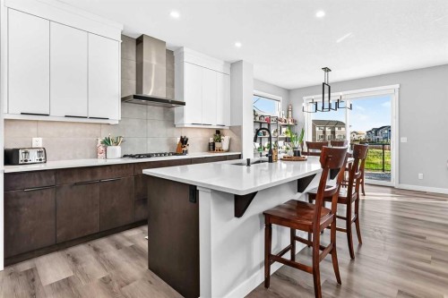 263 Chelsea Heath, Chestermere, AB - Indoor Photo Showing Kitchen With Upgraded Kitchen