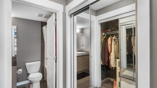 3115-240 Skyview Ranch Road Ne, Calgary, AB - Indoor Photo Showing Bathroom