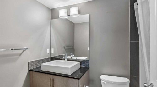 3115-240 Skyview Ranch Road Ne, Calgary, AB - Indoor Photo Showing Bathroom