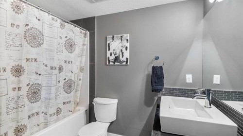3115-240 Skyview Ranch Road Ne, Calgary, AB - Indoor Photo Showing Bathroom