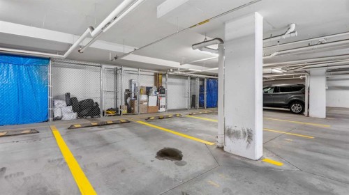 3115-240 Skyview Ranch Road Ne, Calgary, AB - Indoor Photo Showing Garage