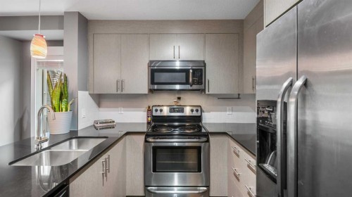 3115-240 Skyview Ranch Road Ne, Calgary, AB - Indoor Photo Showing Kitchen With Double Sink With Upgraded Kitchen