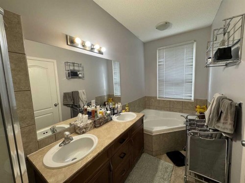 234 Royal Birch Bay Nw, Calgary, AB 