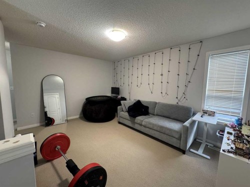 234 Royal Birch Bay Nw, Calgary, AB 