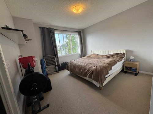 234 Royal Birch Bay Nw, Calgary, AB 