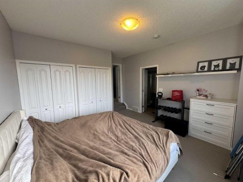 234 Royal Birch Bay Nw, Calgary, AB 
