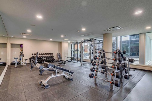 1507-211 13 Avenue Se, Calgary, AB - Indoor Photo Showing Gym Room