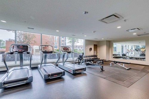 1507-211 13 Avenue Se, Calgary, AB - Indoor Photo Showing Gym Room