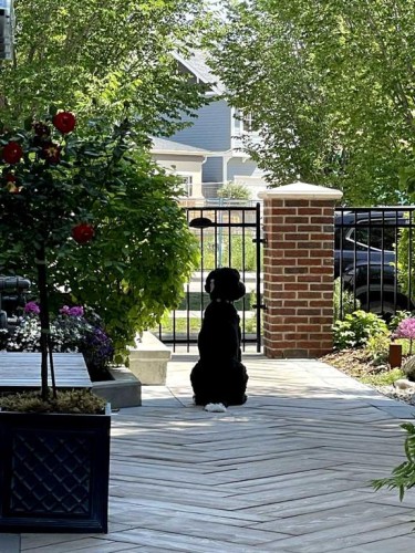 30 And 30G Victoria Cross Boulevard Sw, Calgary, AB - Outdoor