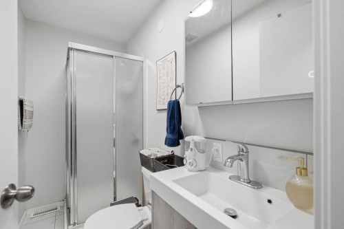 2812 19 Street Nw, Calgary, AB - Indoor Photo Showing Bathroom